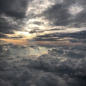 Meet your Posher, Tenley